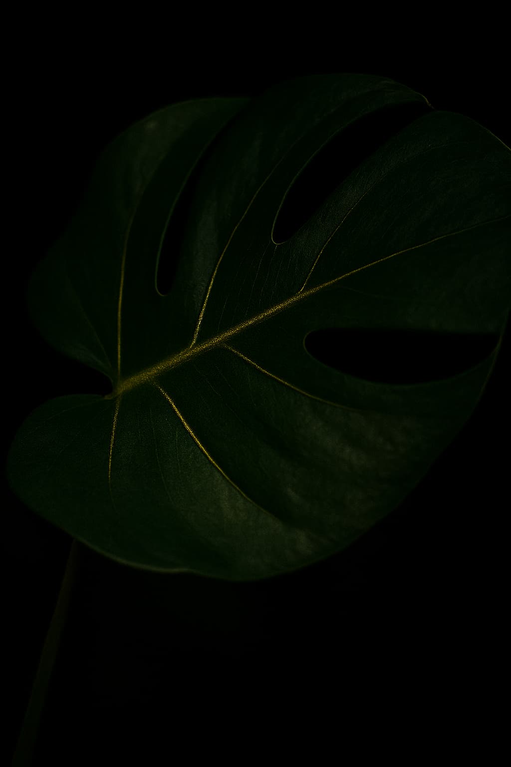 Cosmetic formulation laboratory - BWP Laboratories UK